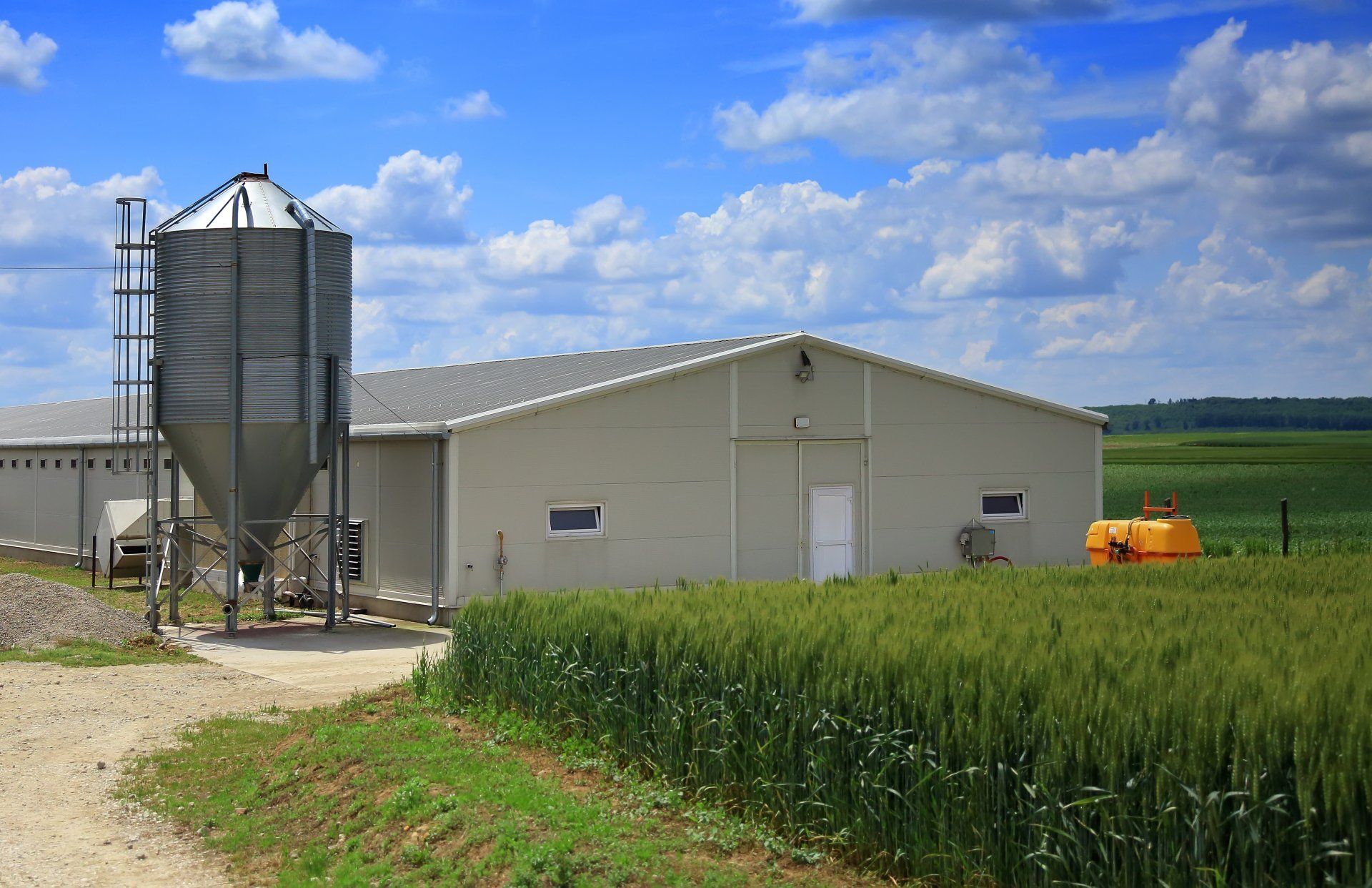 A large white building is sitting in the middle of a wheat field.