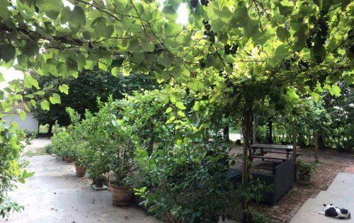 agriturismo immerso nel verde