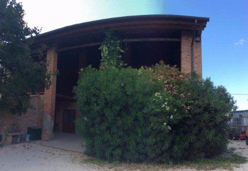 siepe nel cortile dell'agriturismo