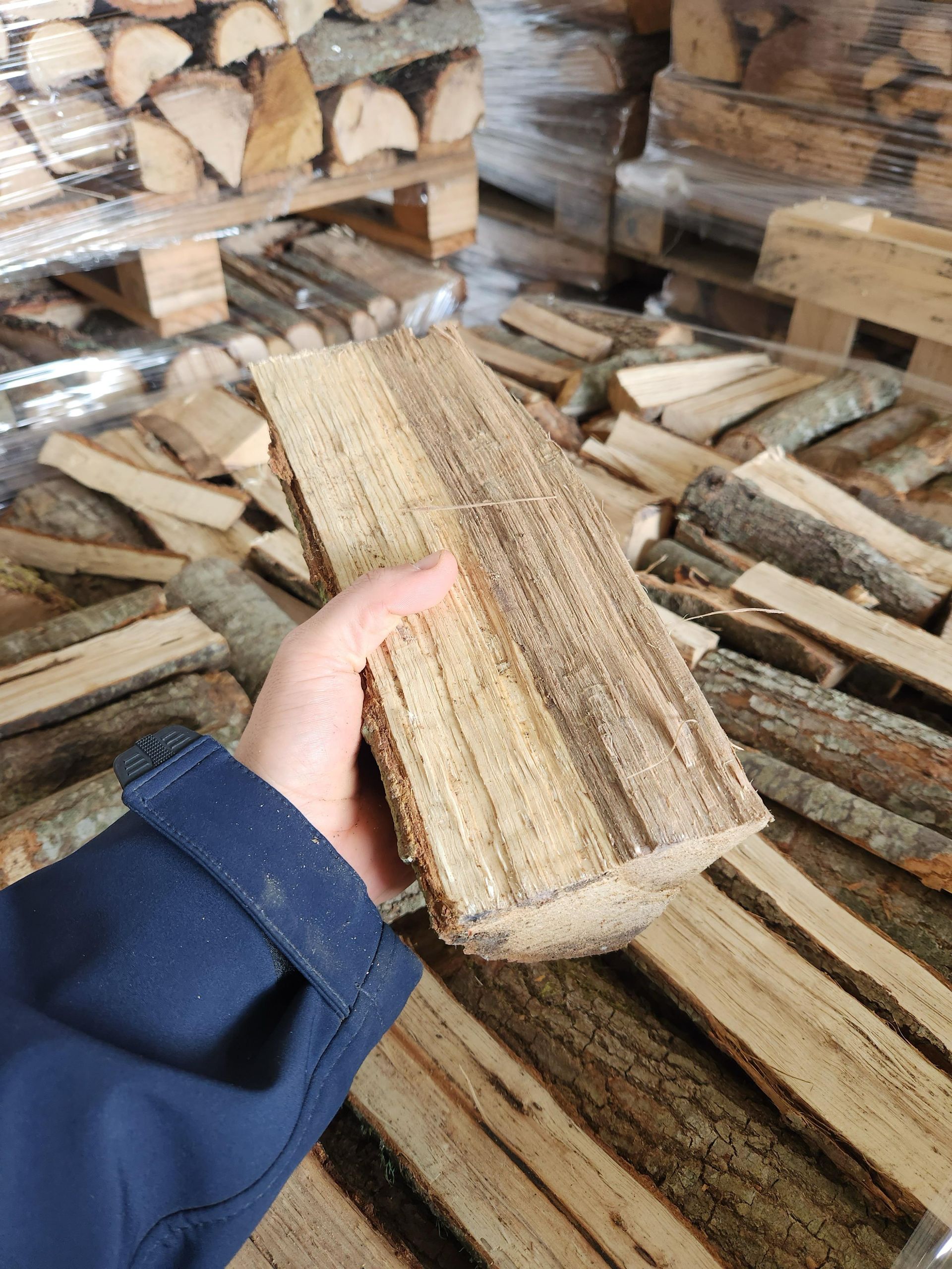 Una persona tiene in mano un pezzo di legno.