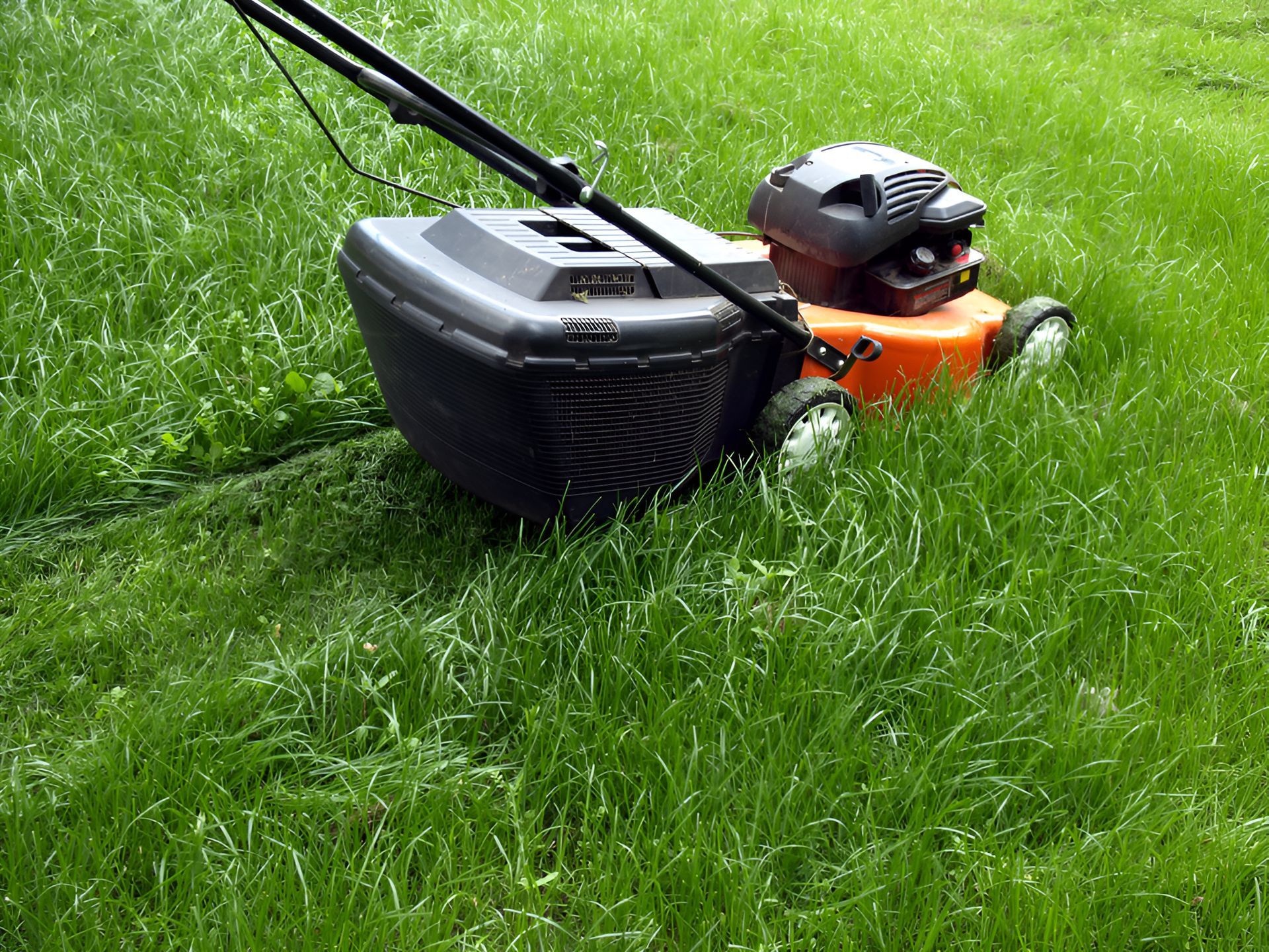 A Lawn Mower Is Cutting A Lush Green Lawn — Plateau Mower Repairs In Ballina, NSW