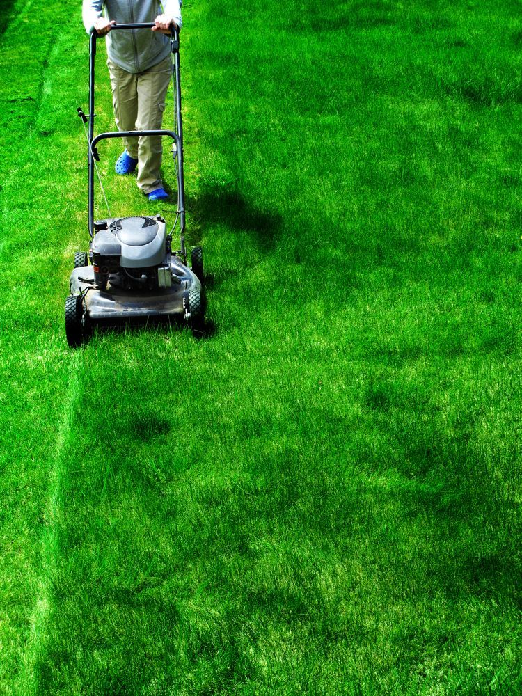 A Person Is Mowing A Lawn With A Lawn Mower — Plateau Mower Repairs In Ballina, NSW