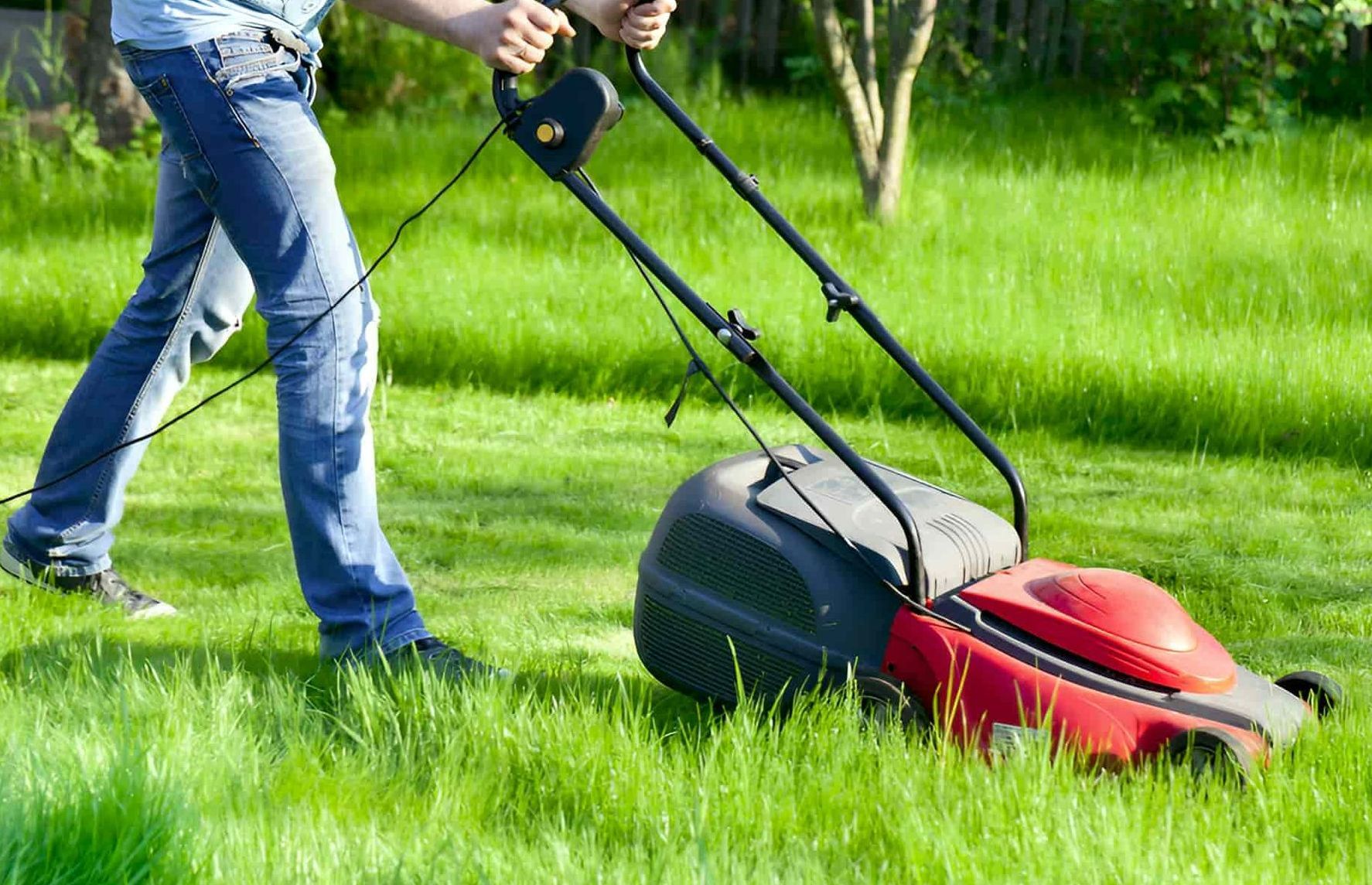 A Man Is Mowing His Lawn With A Red Lawn Mower — Plateau Mower Repairs In Lismore, NSW