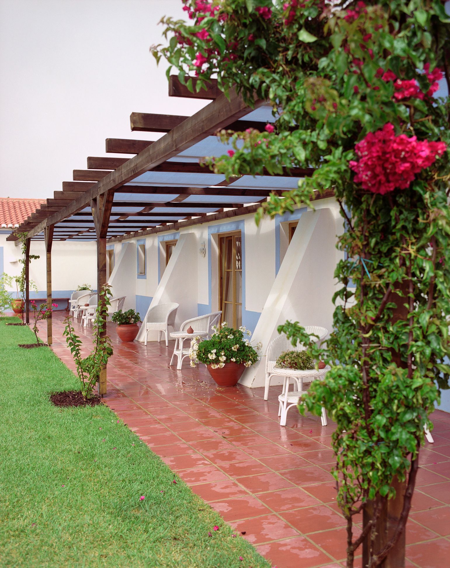 due cani vicini con lingua di fuori e due mani che li stringono