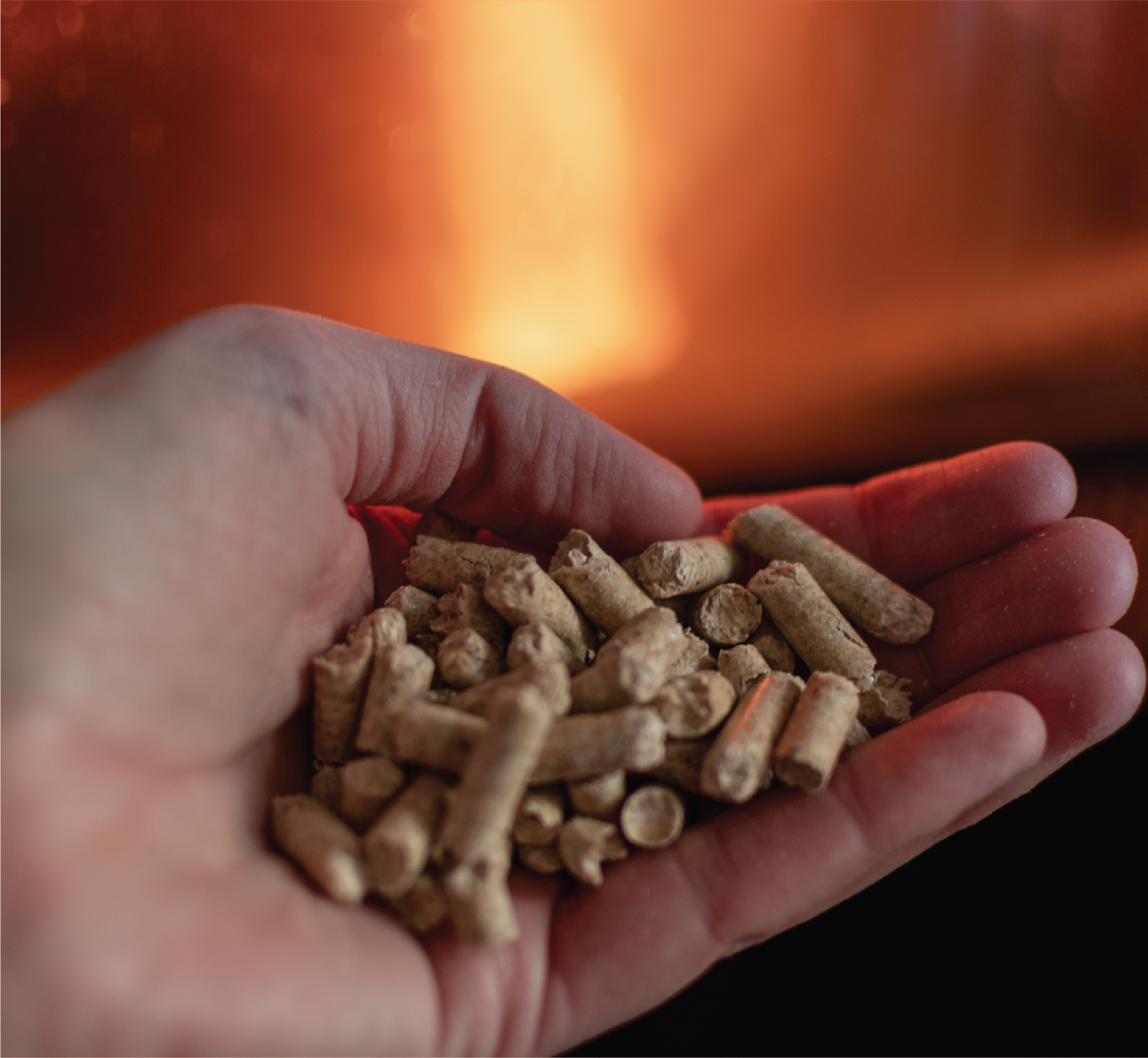 A person is holding a pile of wood pellets in their hand.