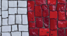 Pavimento a mosaico bianco e rosso