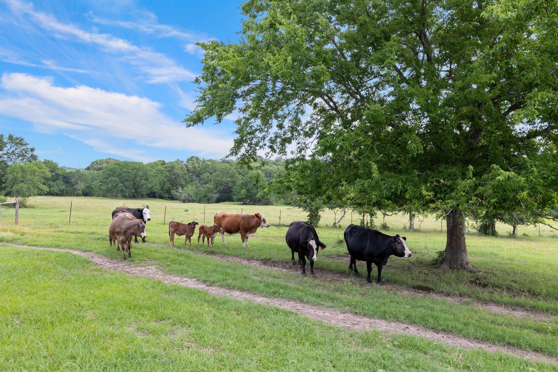 A large building with a lot of windows on a cloudy day