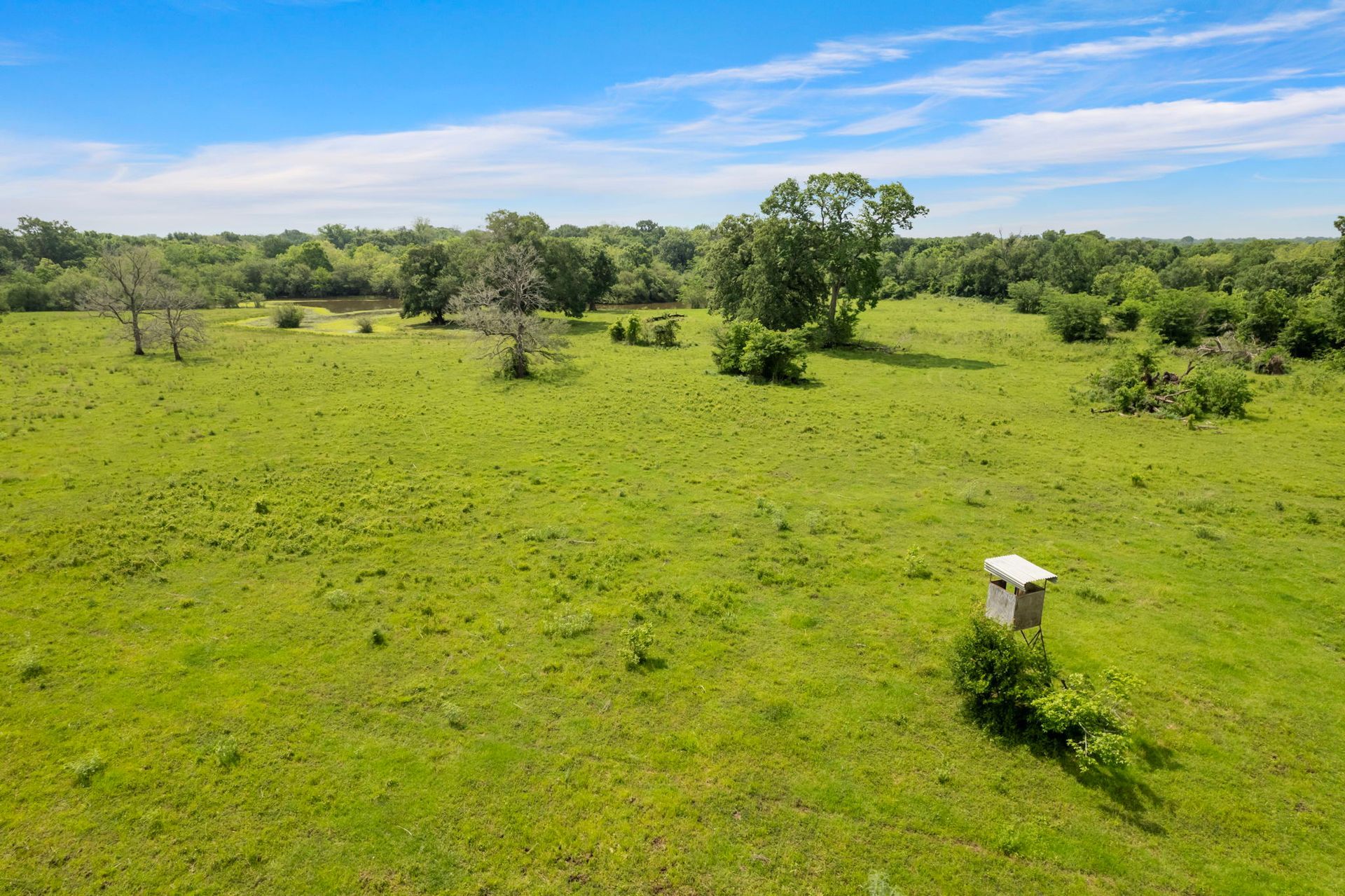 An aerial view of a large grassy field with trees in the background.
