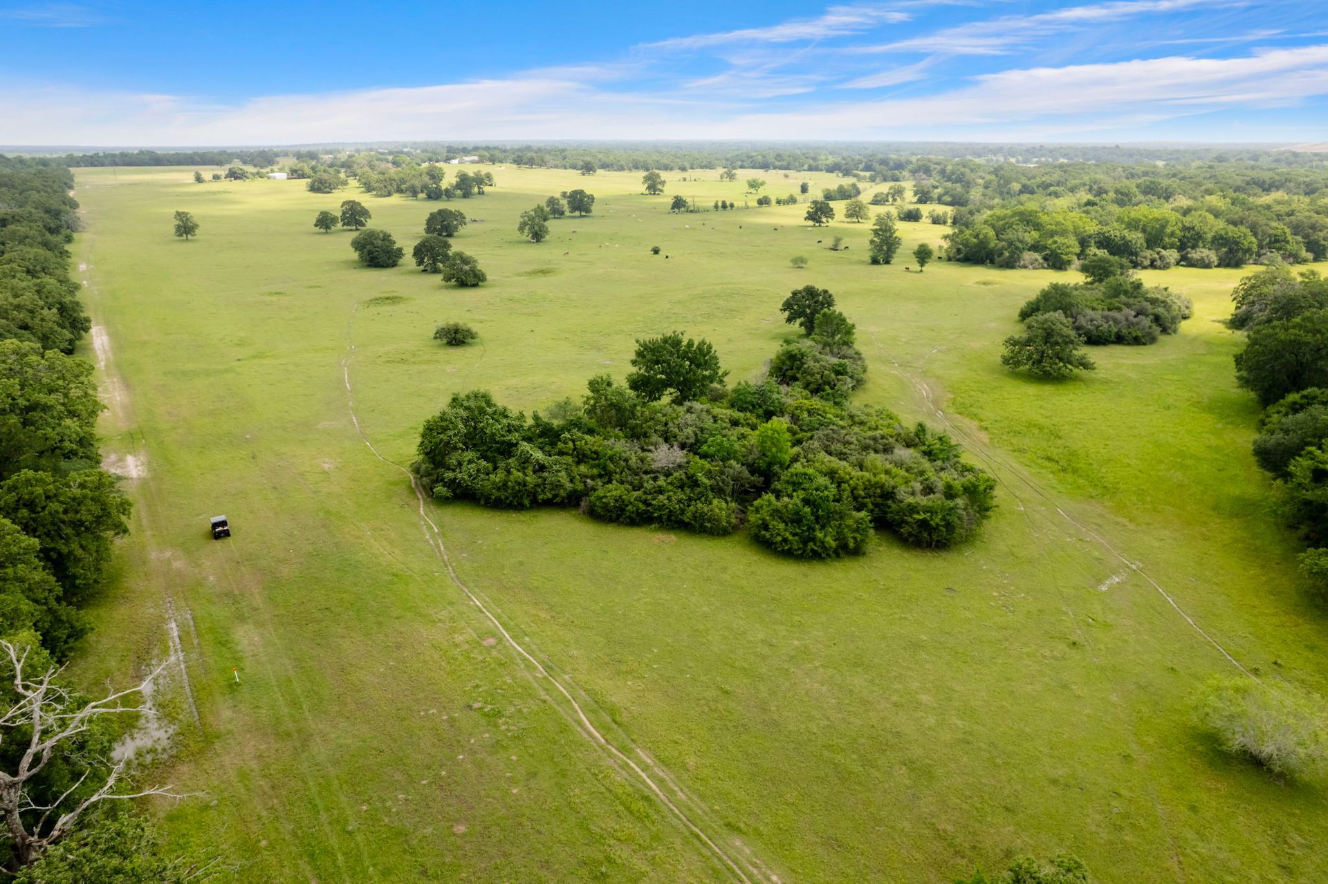 An aerial view of a field with trees and grass