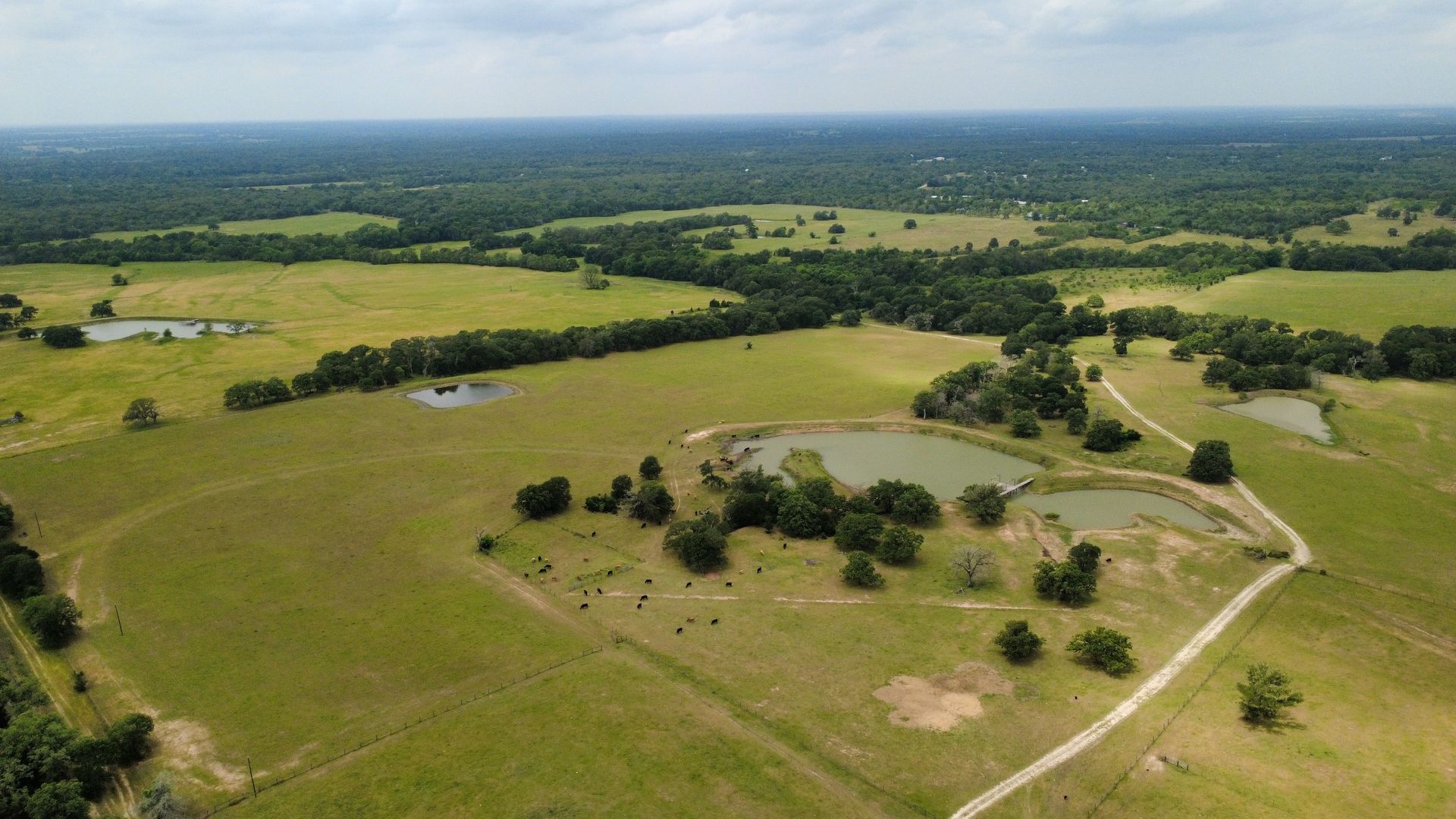 An aerial view of a large grassy field with trees and a pond.
