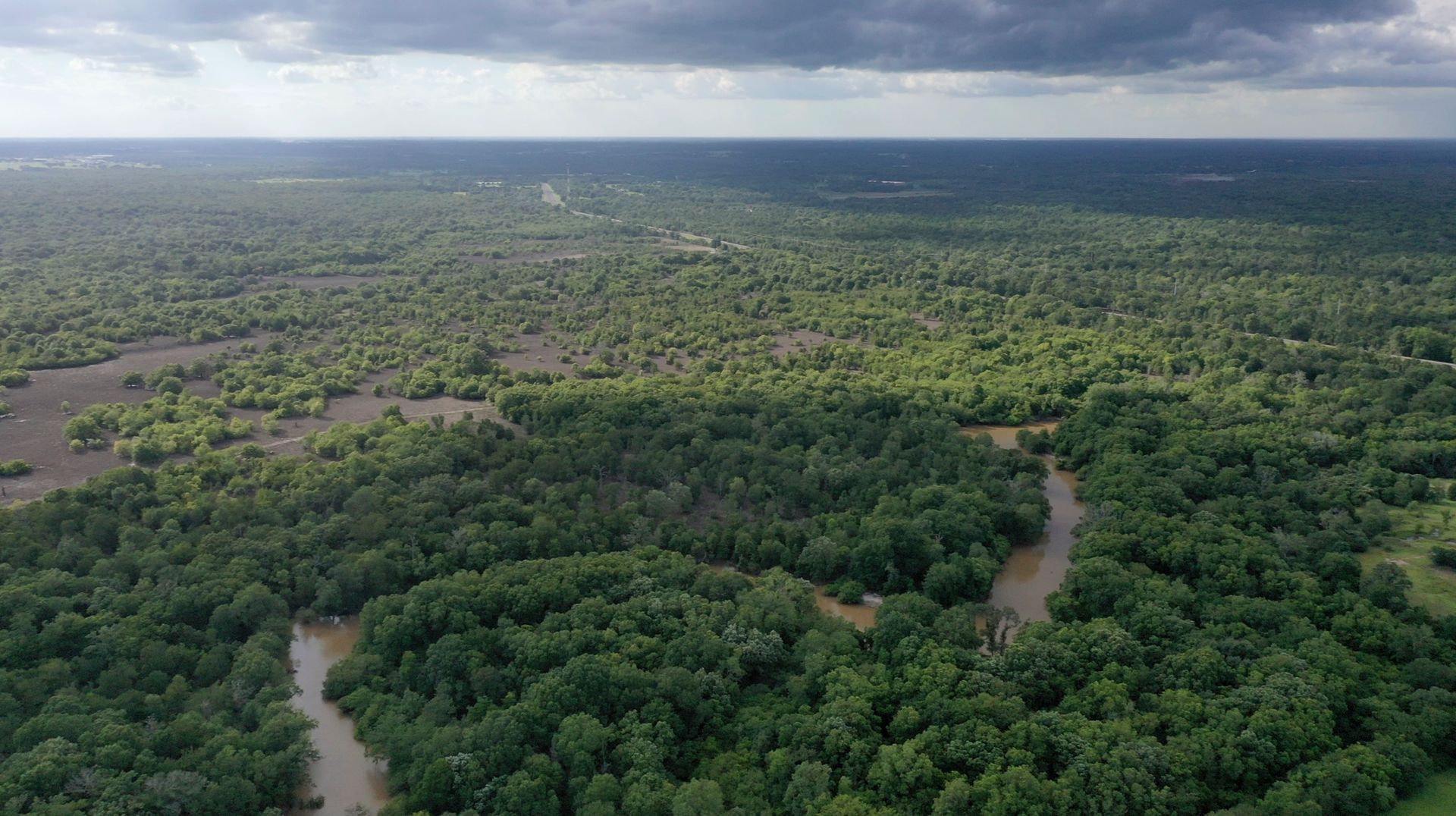 An aerial view of a river running through a lush green forest.