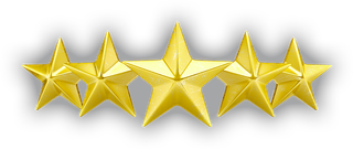 A row of five gold stars on a white background.