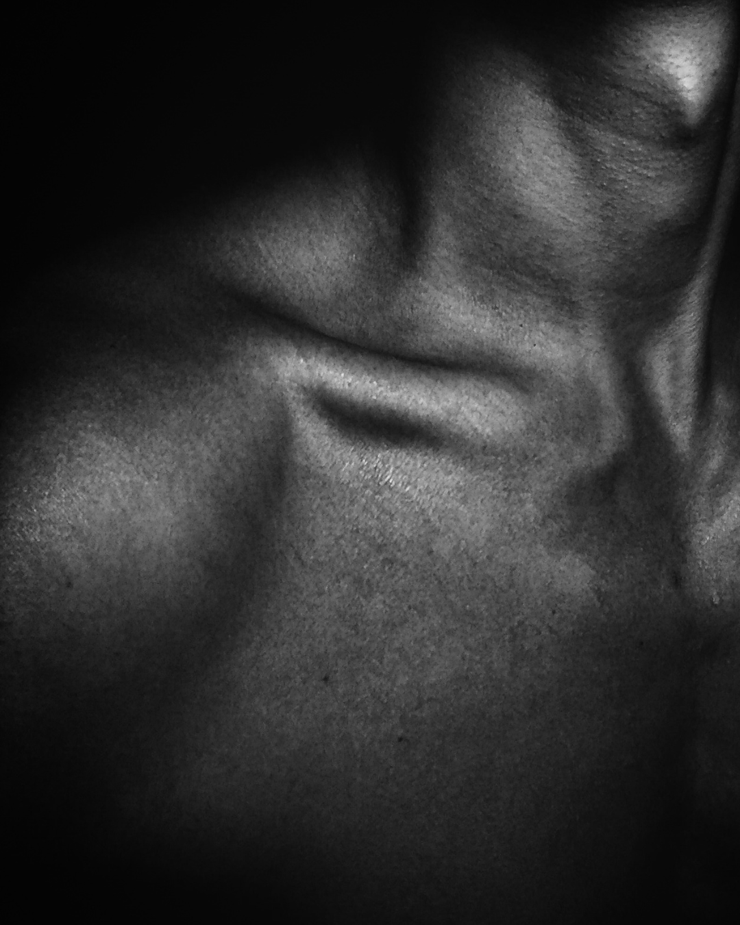 DECADENT CREAMY BODY LOTION