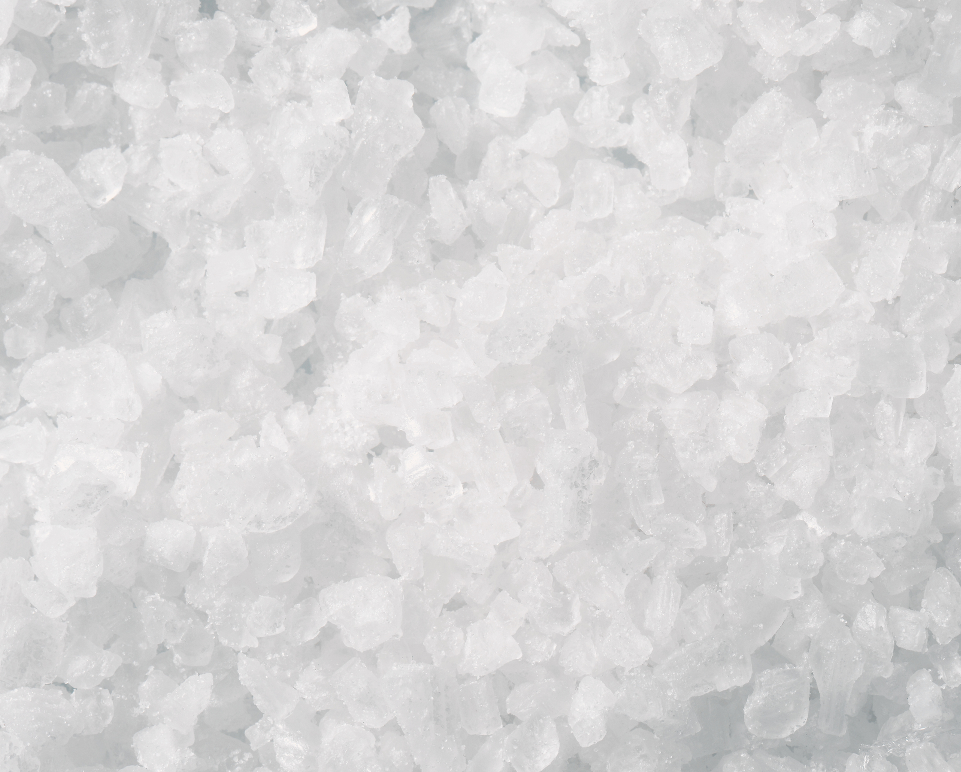 image of prickly pear