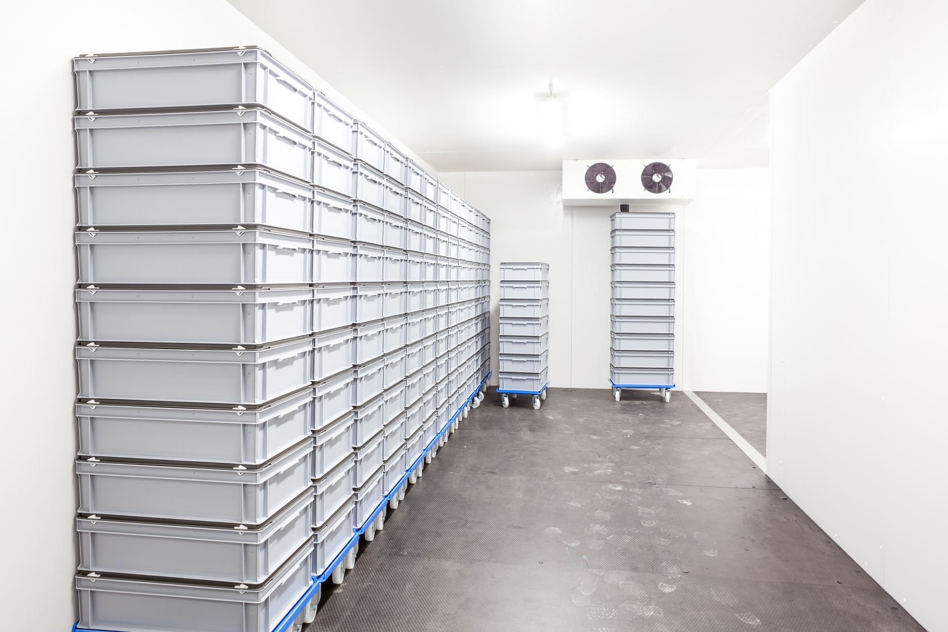 Rows of Stacked Gray Storage Bins in a White Walk-in Cooler — Priest Airconditioning in Tumut, NSW