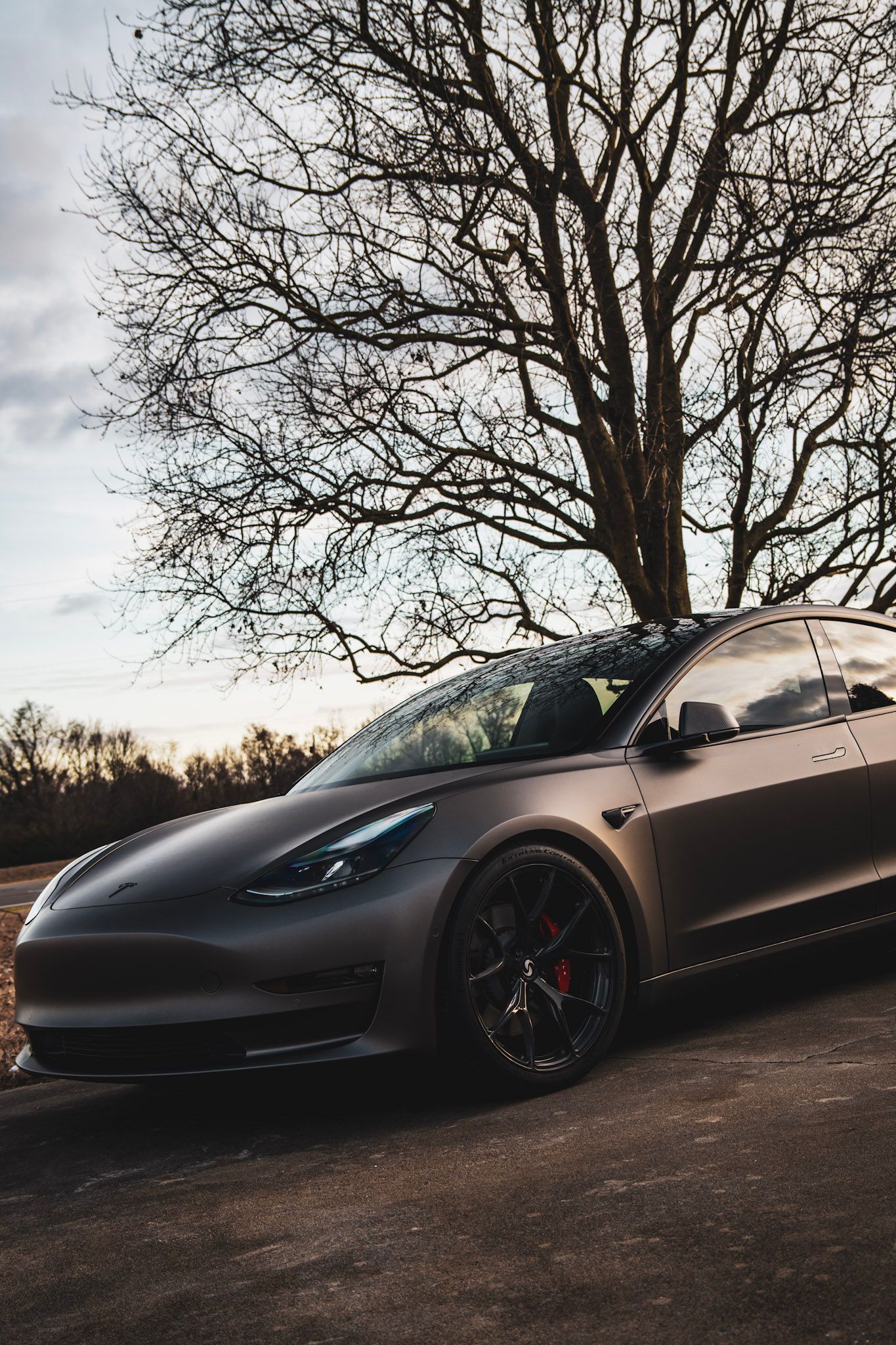 Teal Tesla Model 3 in a garage, next to a blue car.