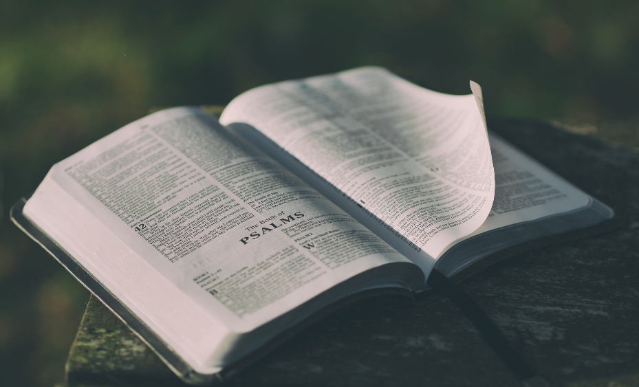 FBC Lake Dallas Adult Bible Study