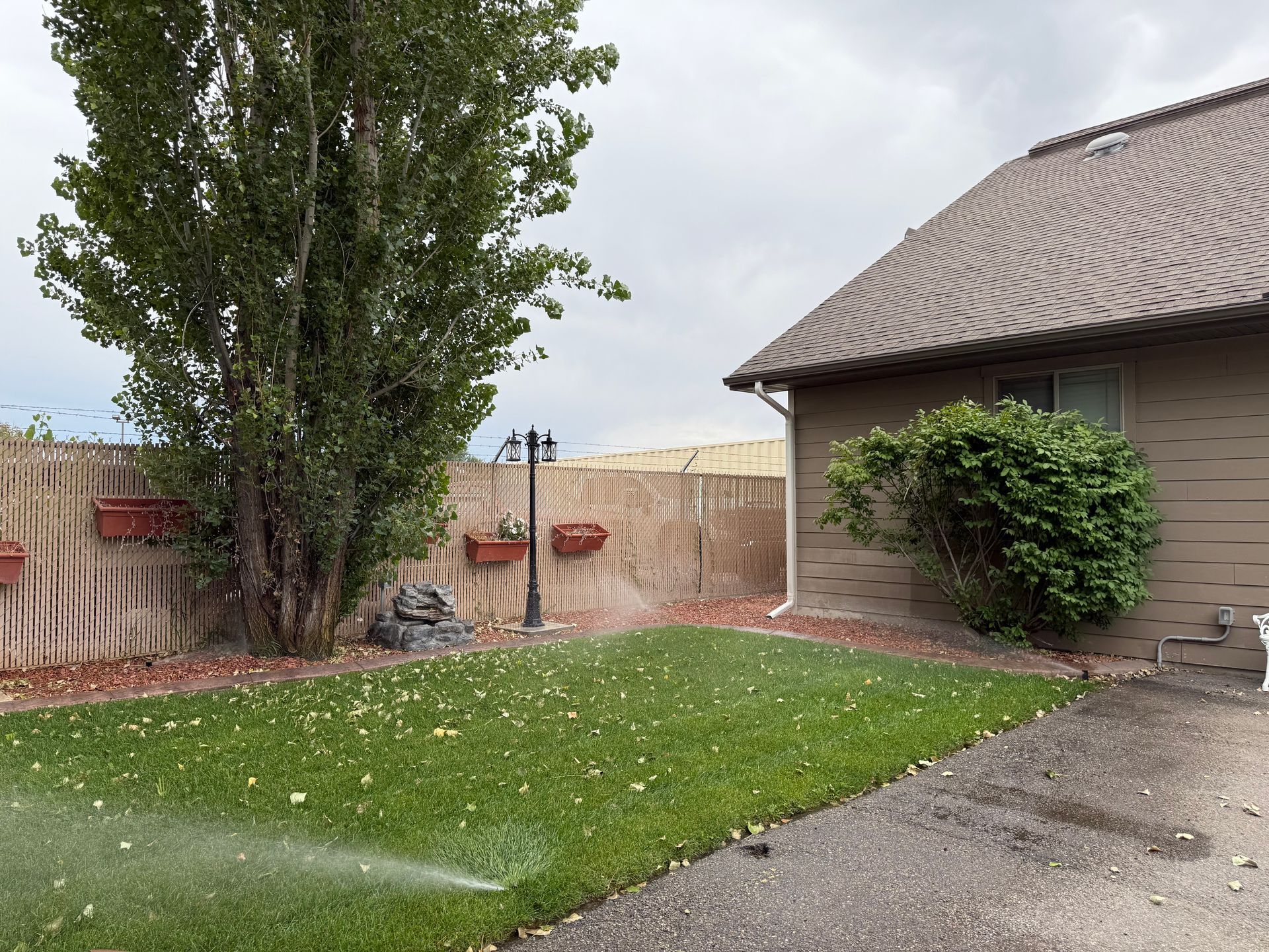 Lawn watering in a backyard with a tree, fence, house, and overcast sky.