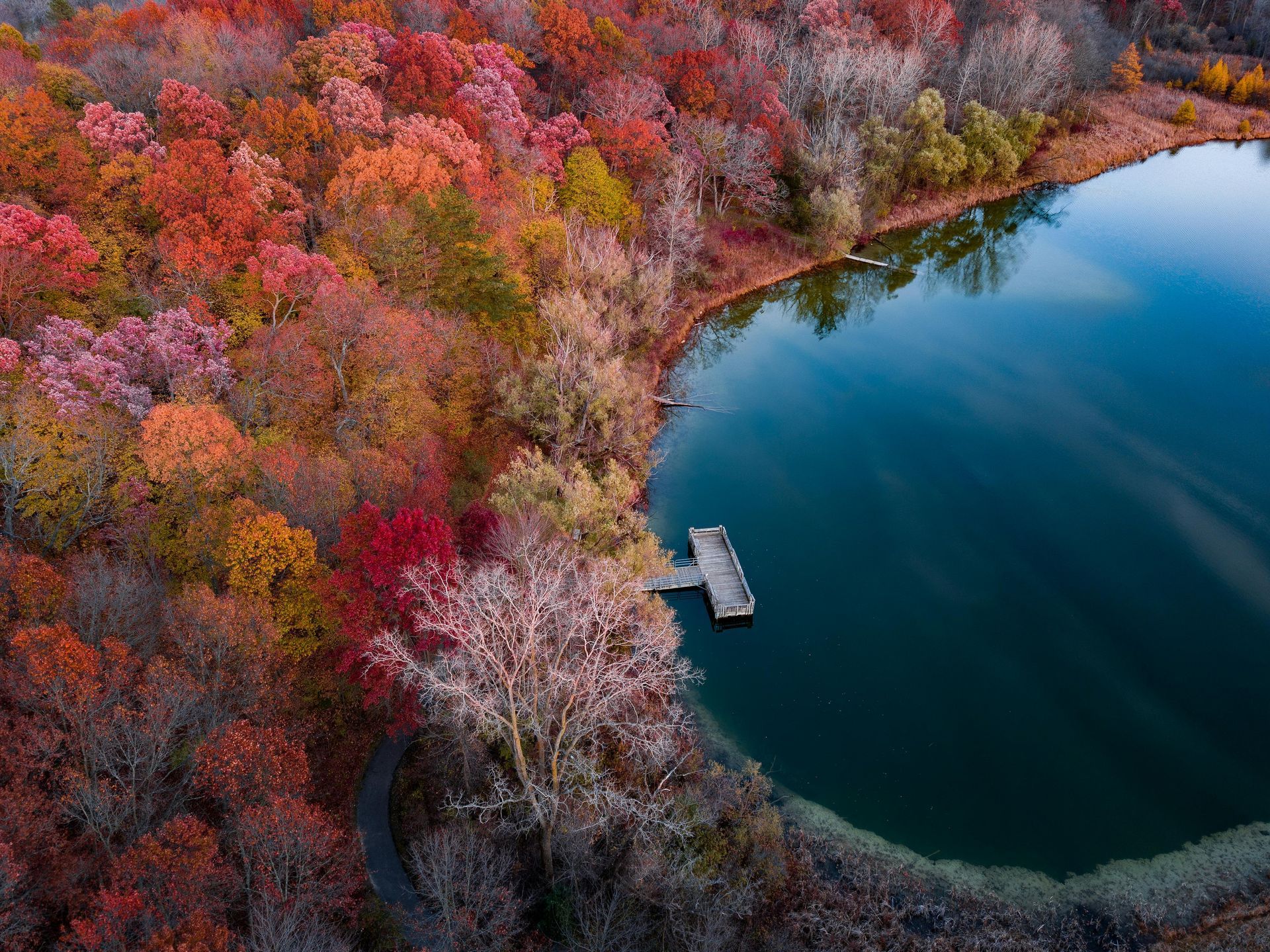 Autumn foliage surrounds a lake with a wooden dock; red, orange, and yellow leaves.