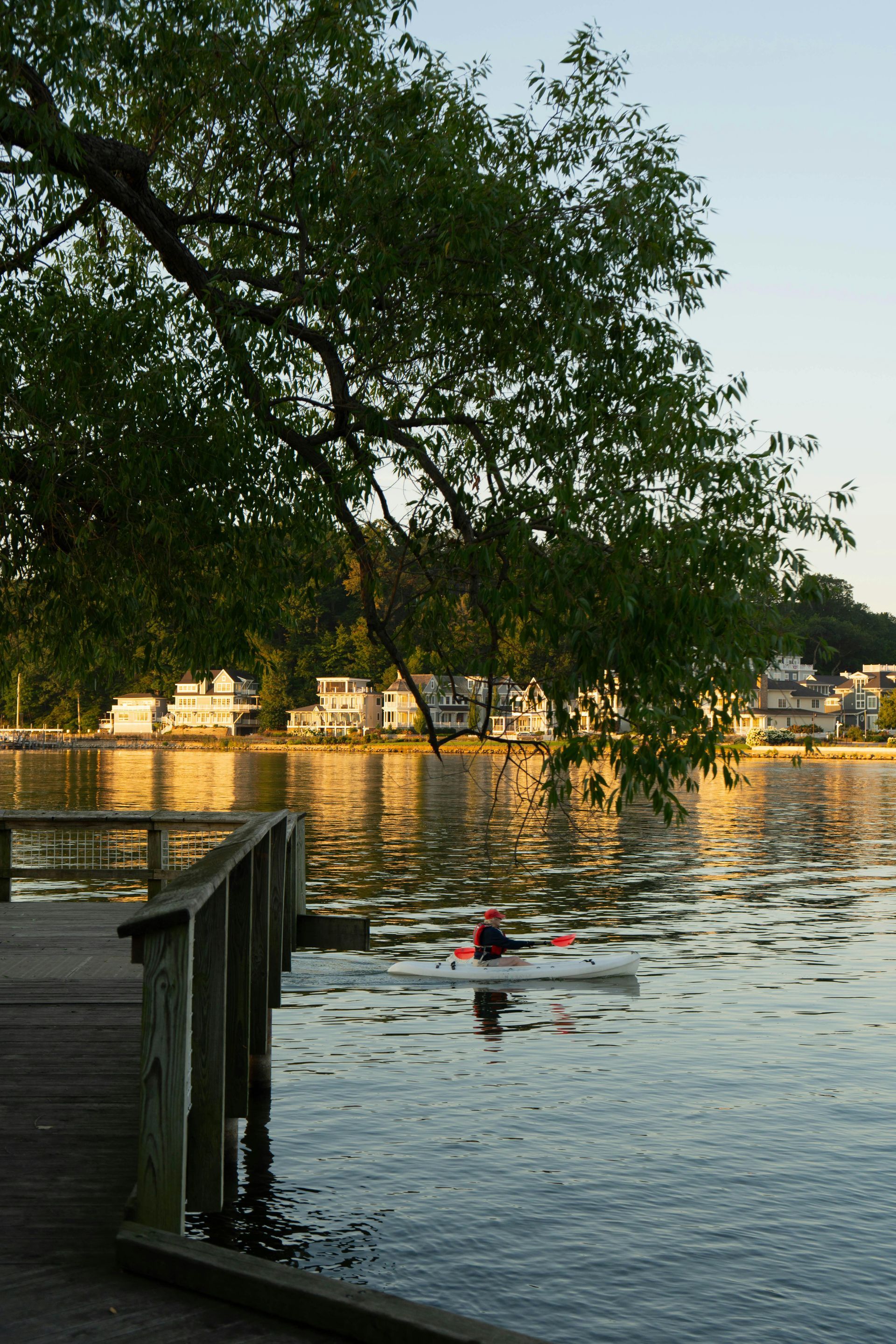 Kayaker on calm water, passing a wooden dock at sunset. Houses line the far shore; tree branch overhead.