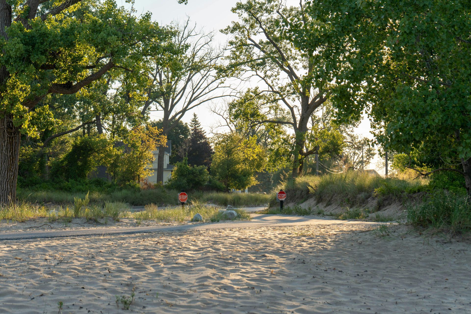 Sandy path through a green park at sunset; two orange markers.