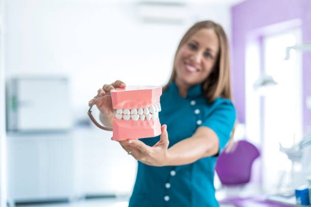 Dentist holding teeth model in modern clinic to educate patient on oral hygiene and dental care.