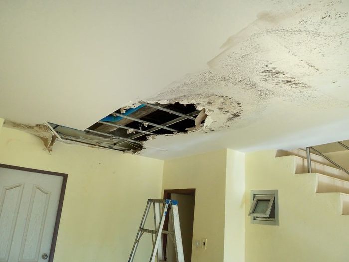 Damaged ceiling with a hole exposing metal grid, near a door, stairs, and a ladder.