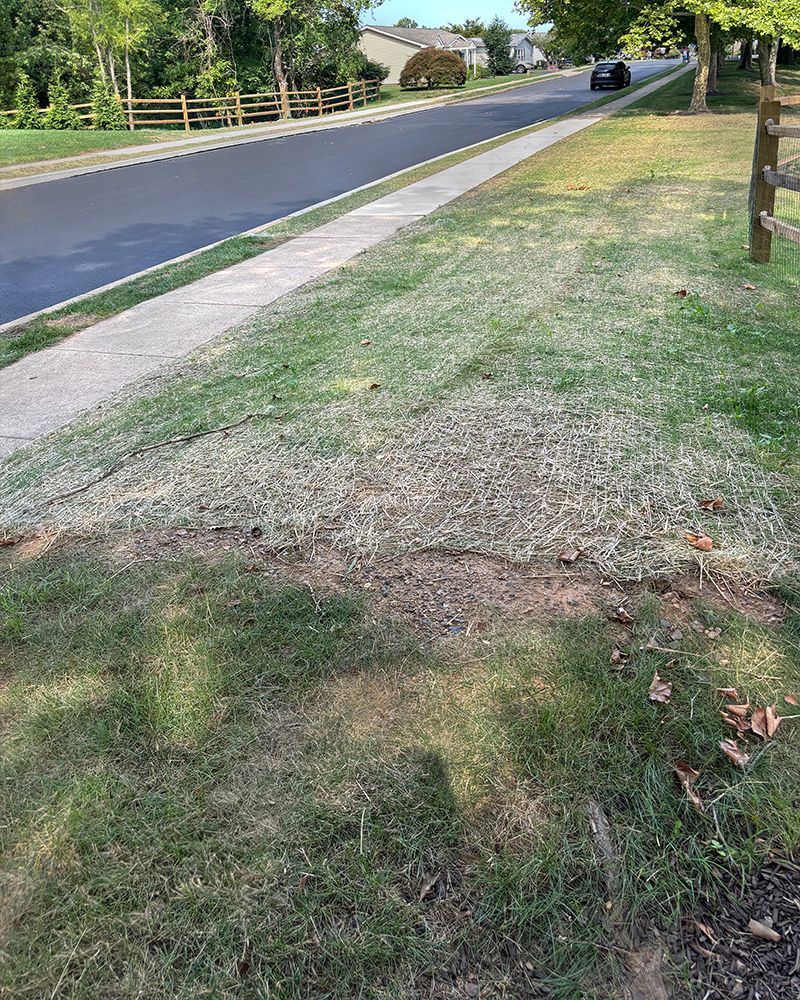 Area of Culvert Replacement - AFTER