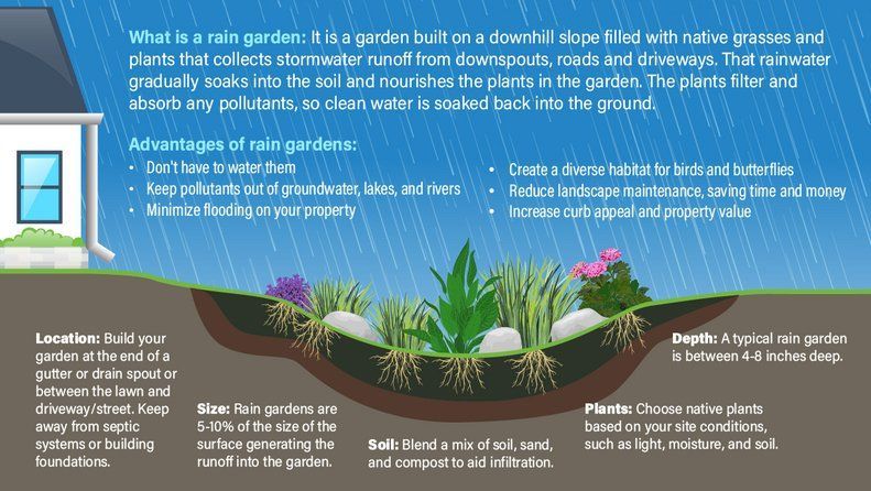 RAIN GARDEN DIAGRAM