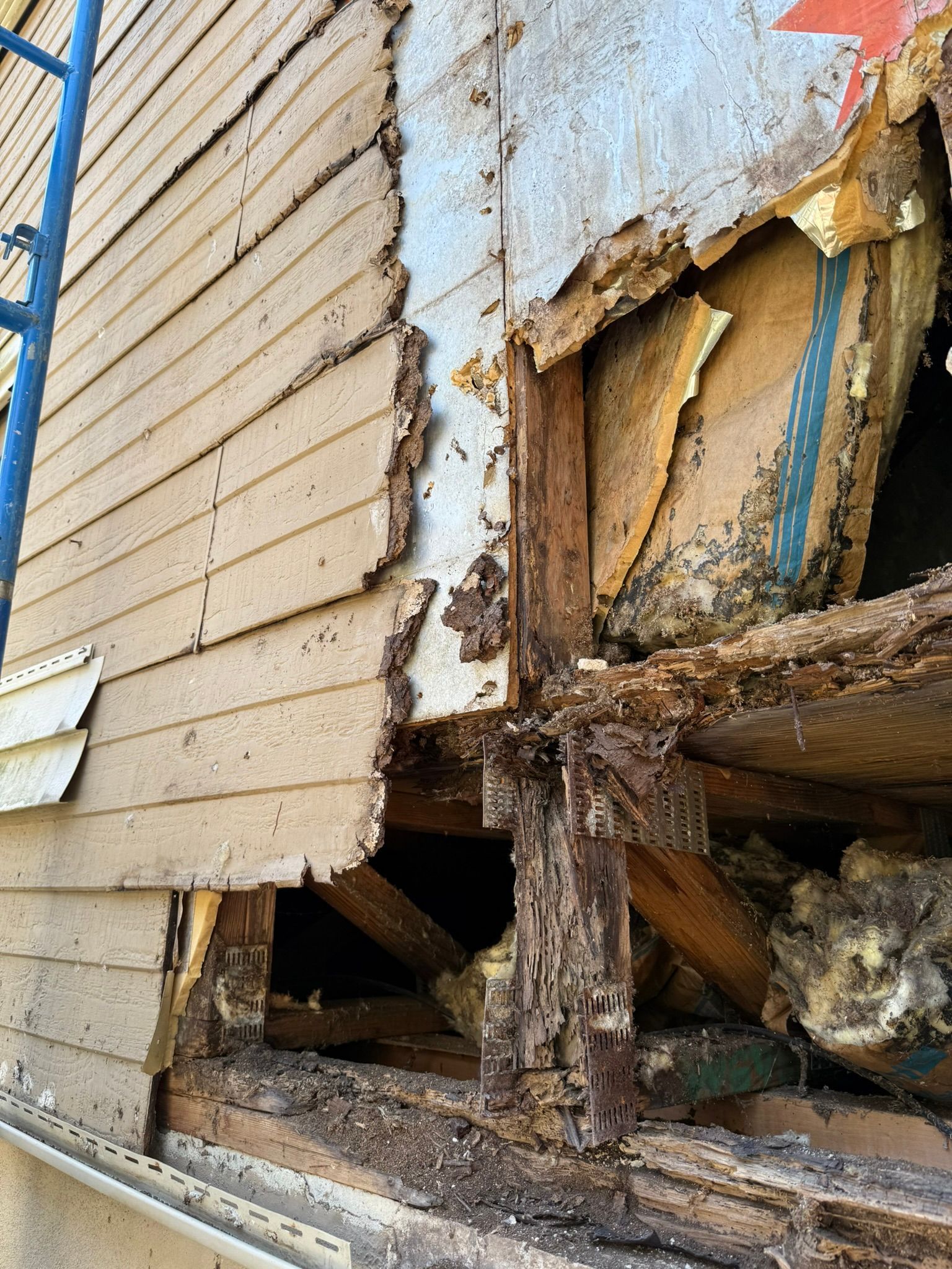 Forensic Investigative Services