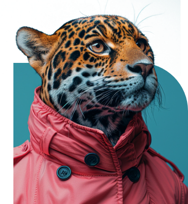 A close up of a leopard wearing a red jacket