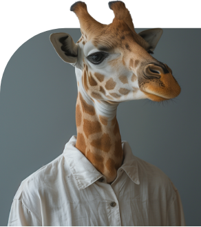 A giraffe wearing a white shirt has a long neck