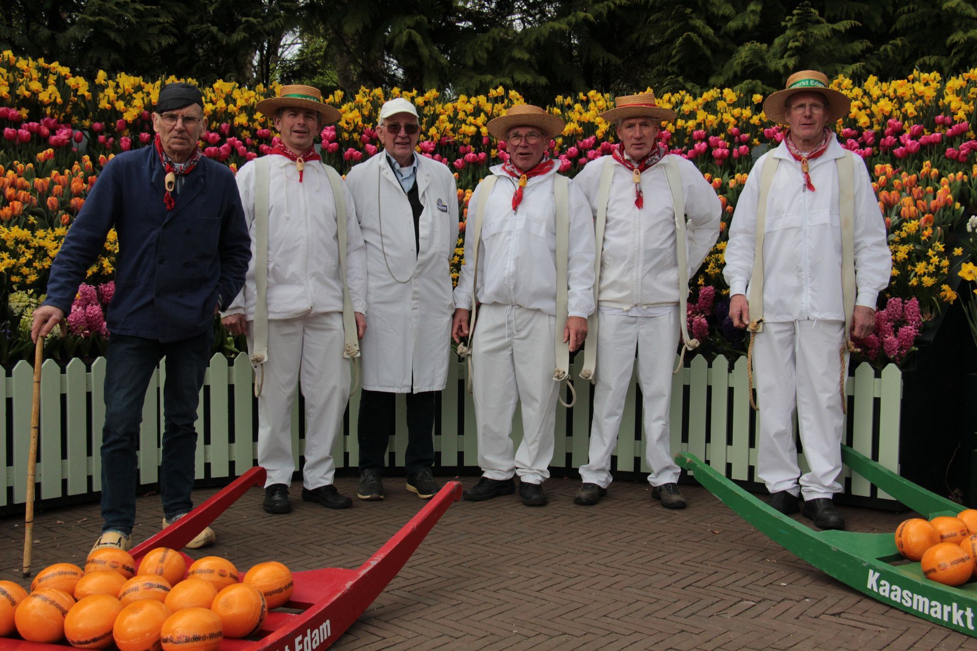 Kaasmarkt Edam Volendam op de Keukenhof in Lisse
