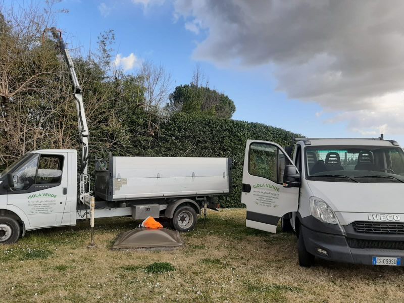 mezzi per la potatura alberi