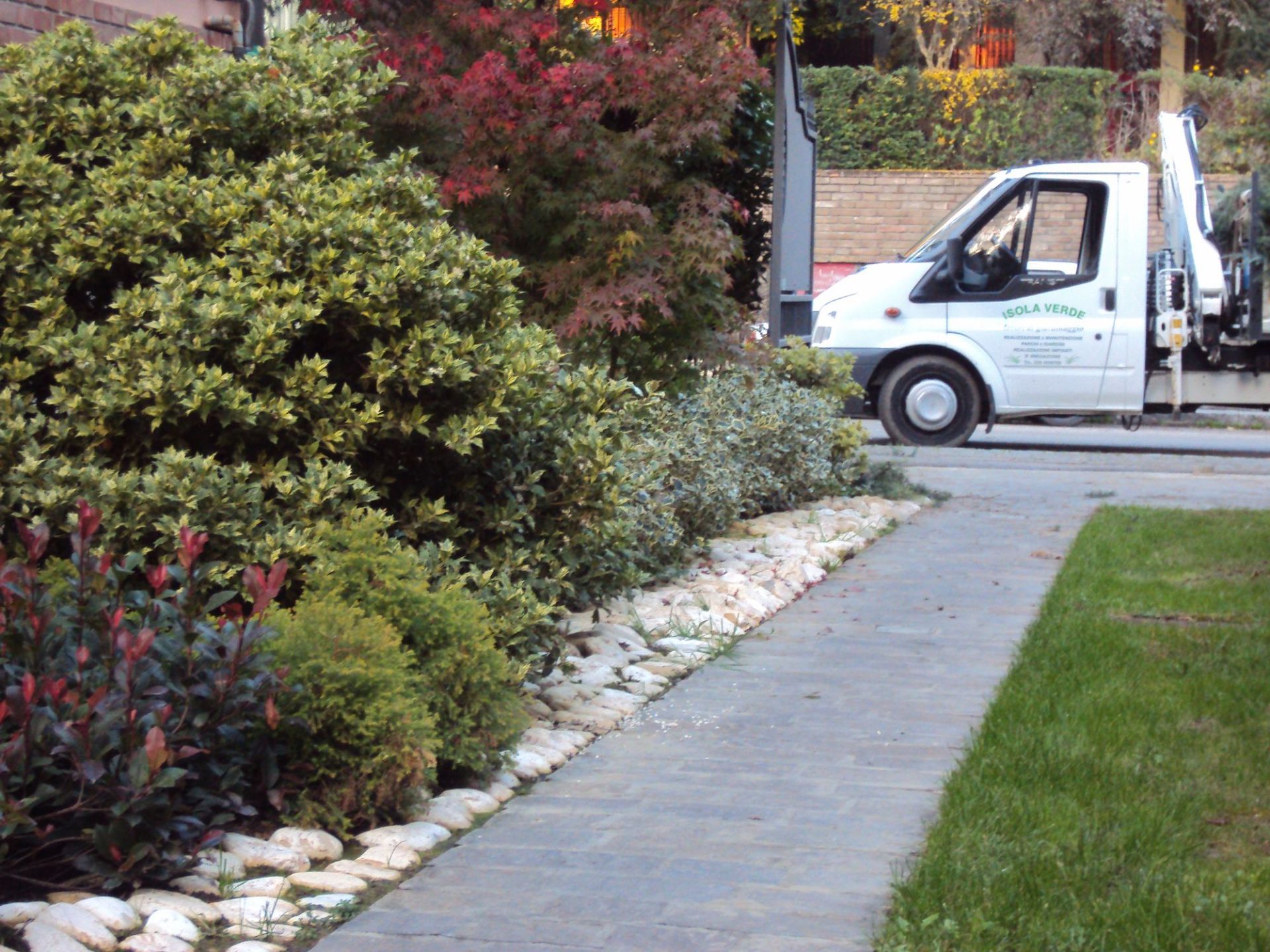 potatura siepi e arbusti