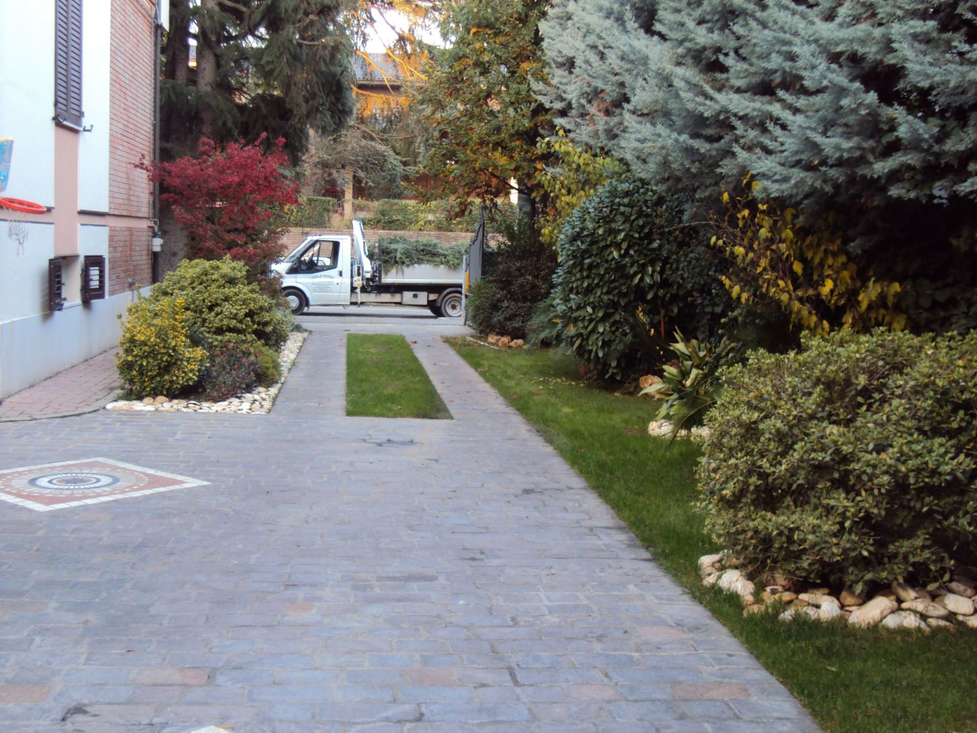 potatura alberi alto fusto con tree climbing