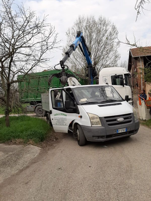 tree climbing con mezzi propri