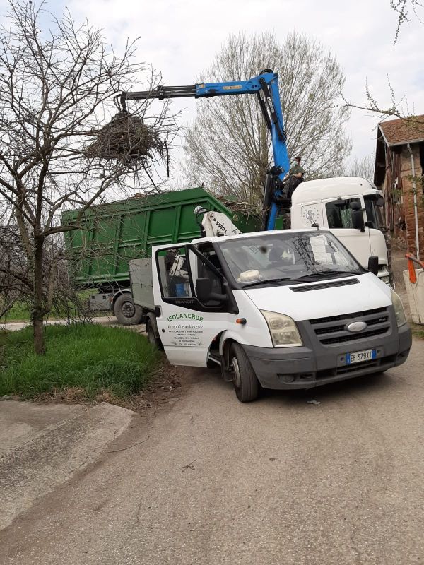 sfoltitura alberi con tree climbing