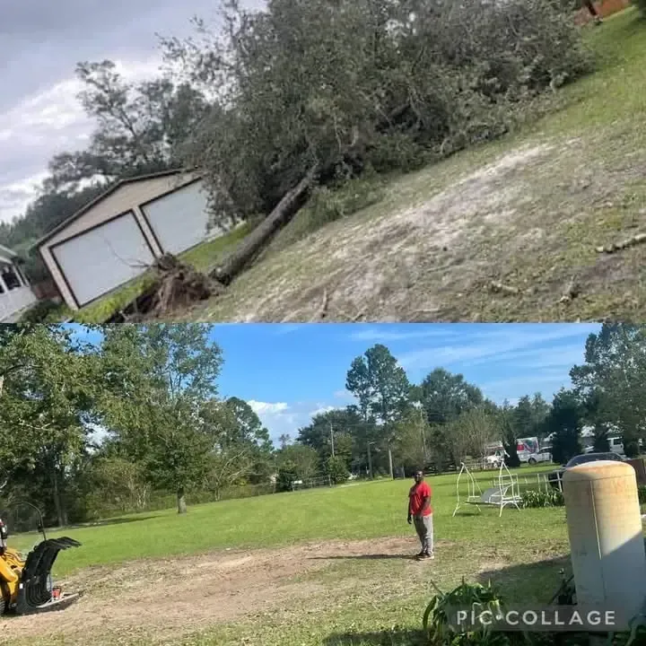 A couple of pictures of a house and a tree that has fallen on it.