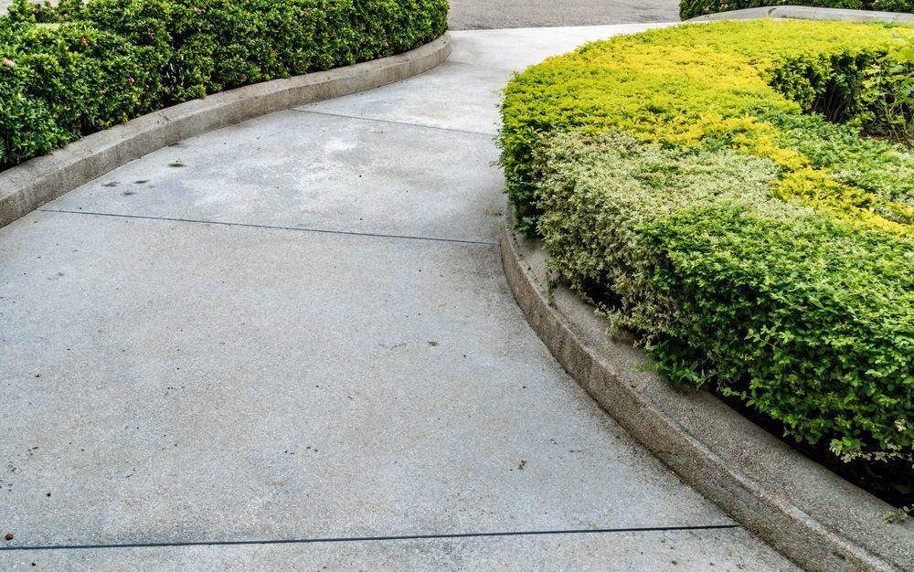 A Concrete Pathway Curves Between Two Sculpted Garden Hedges — Complete Concreting Riverina In Ashmont, NSW
