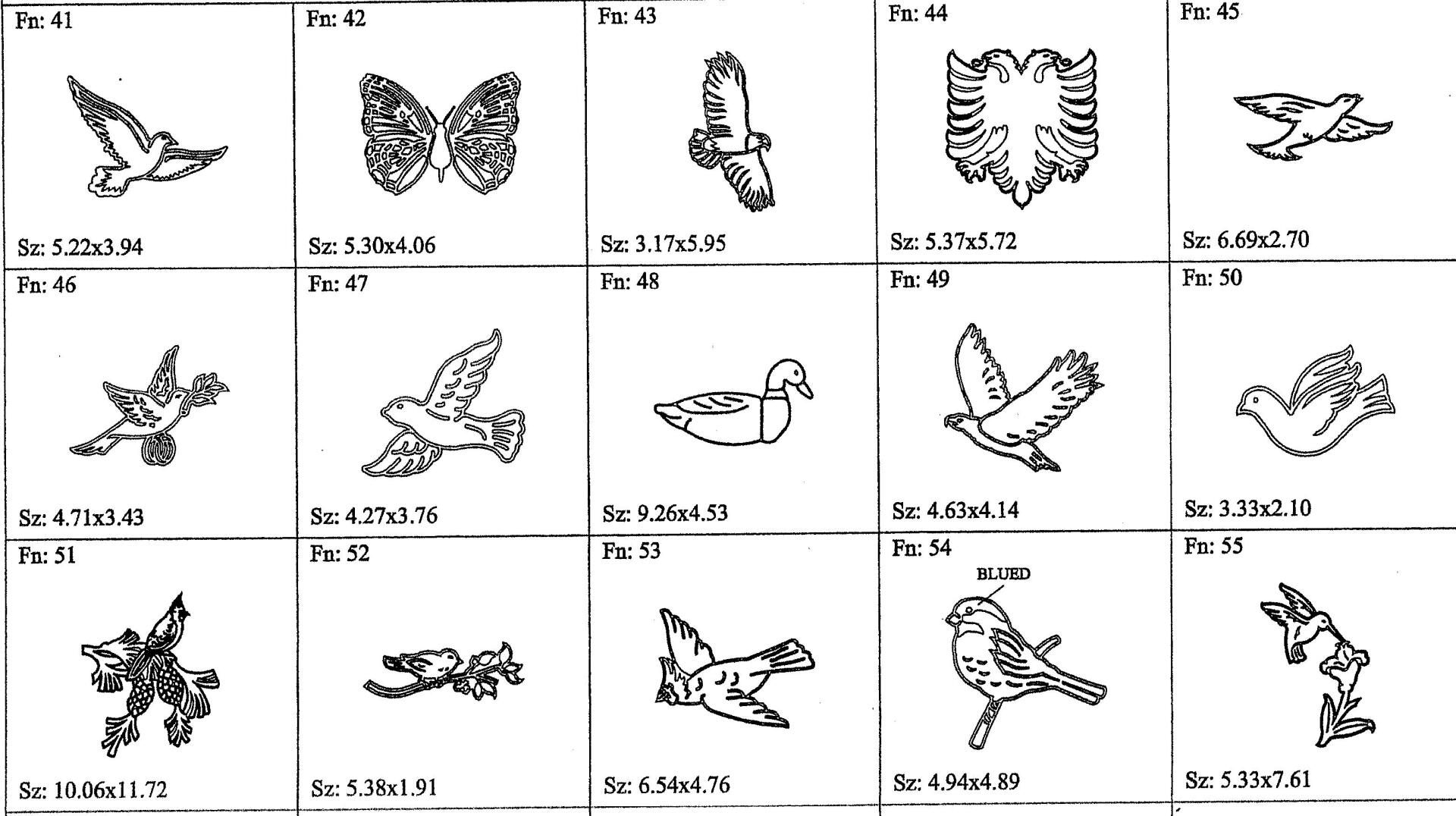 a bunch of drawings of birds and butterflies on a white background