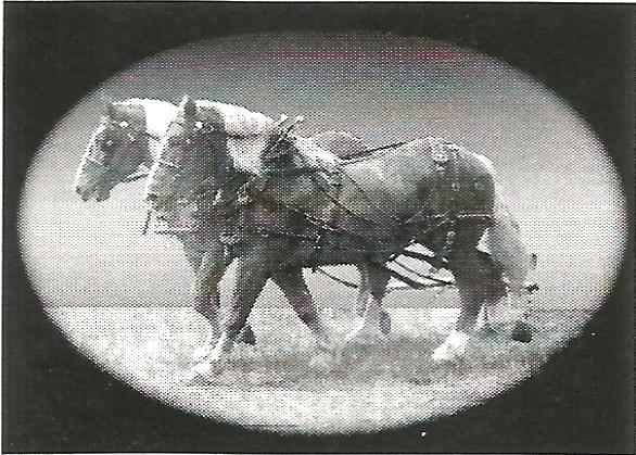 a black and white photo of two horses pulling a cart