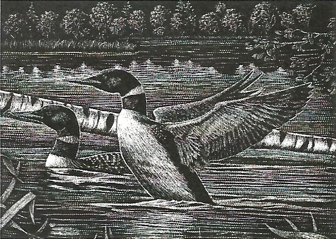 a black and white drawing of a goose flying over a body of water