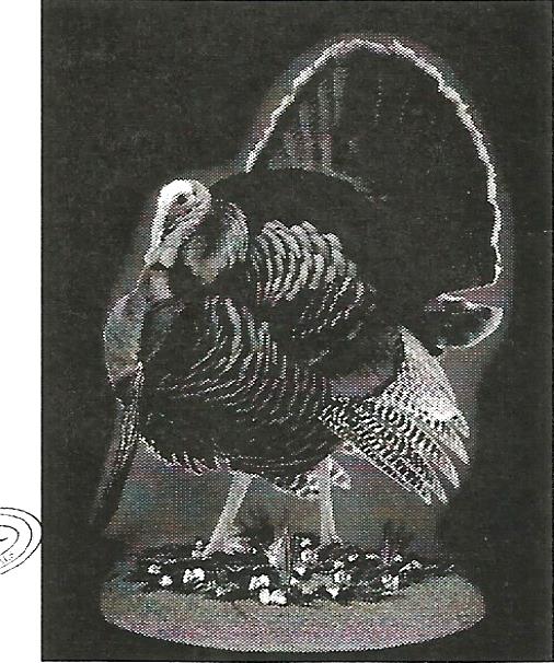 a black and white photo of a turkey on a pedestal