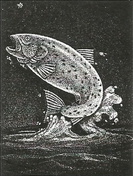 a black and white drawing of a fish jumping out of the water