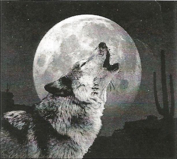 a wolf howling at the full moon in a black and white photo