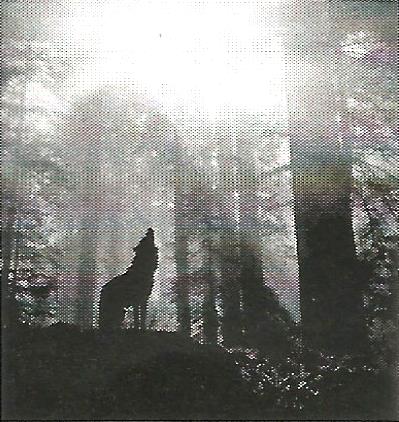 a silhouette of a wolf howling in the woods