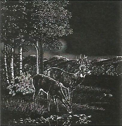 a black and white drawing of a herd of deer grazing under a tree