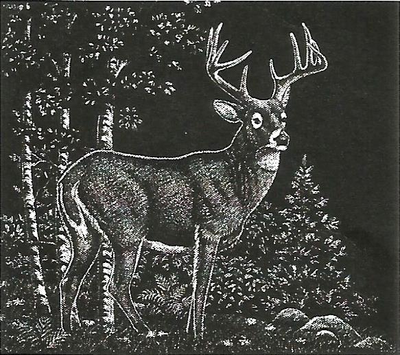 a black and white drawing of a deer in the woods
