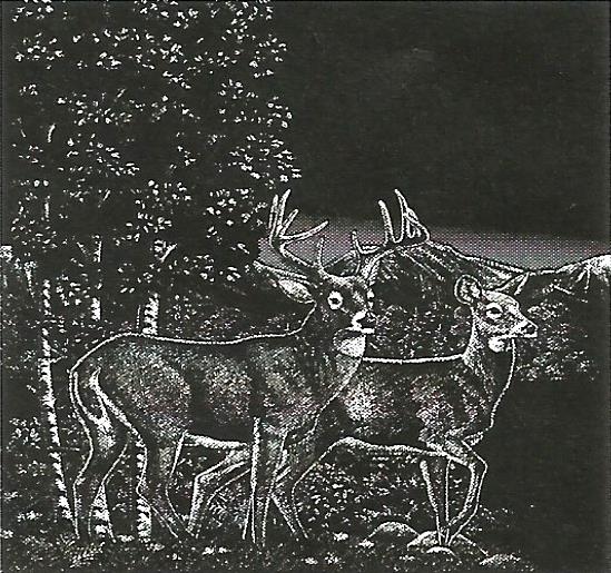 a black and white painting of three deer in the woods